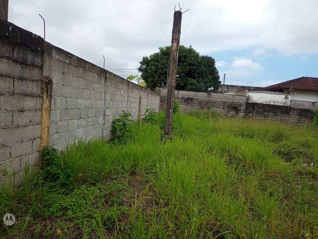 #825 - Terreno para Venda em Caraguatatuba - SP - 1