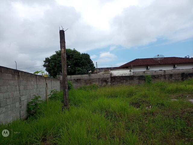 #825 - Terreno para Venda em Caraguatatuba - SP - 2